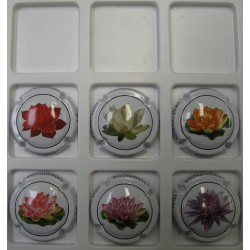 CHEURLIN VEUVE LOTUS