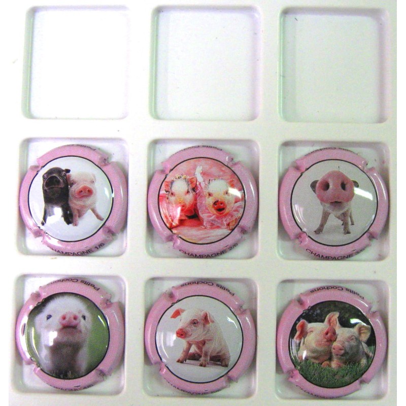 GENERIQUES PETITS COCHONS