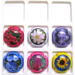 DRAVIGNY BRIGITTE FLEURS