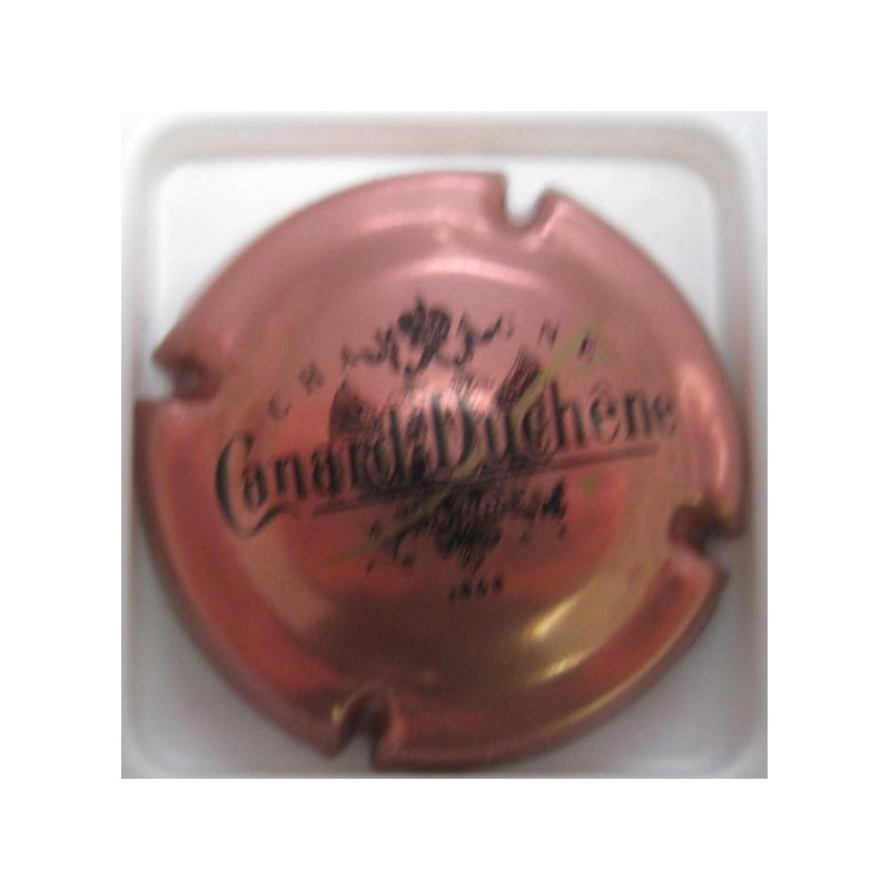 CANARD DUCHENE N°65 ROSE PETIT SABRE PETIT 1868