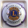 LIONS CLUB VERTUS 2013