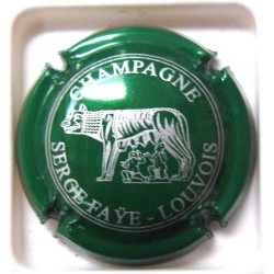 FAYE SERGE VERT ET ARGENT