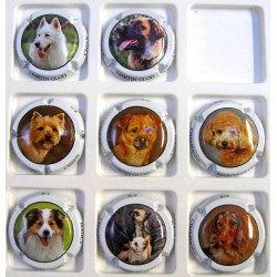 MARTIN-GLOD LES CHIENS