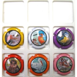 FOUREUR DOMINIQUE OISEAUX