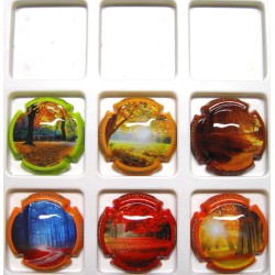 PETIT PAYSAGES DE FORET