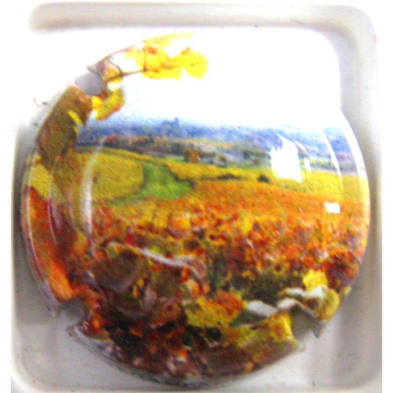 GENERIQUES COTEAUX SEZANNAIS