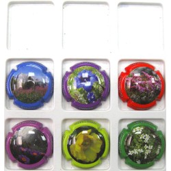 DANGIN PATRICE FLEURS DE MONTAGNE