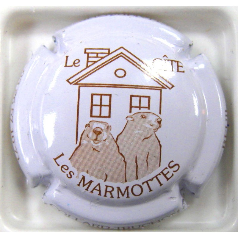 COLLARD-TRUCHON GITE LES MARMOTTES