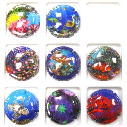 GENERIQUES RECIFS CORALIENS A PRIX PREFERENTIEL JUSQU'AU 30 SEPTEMBRE