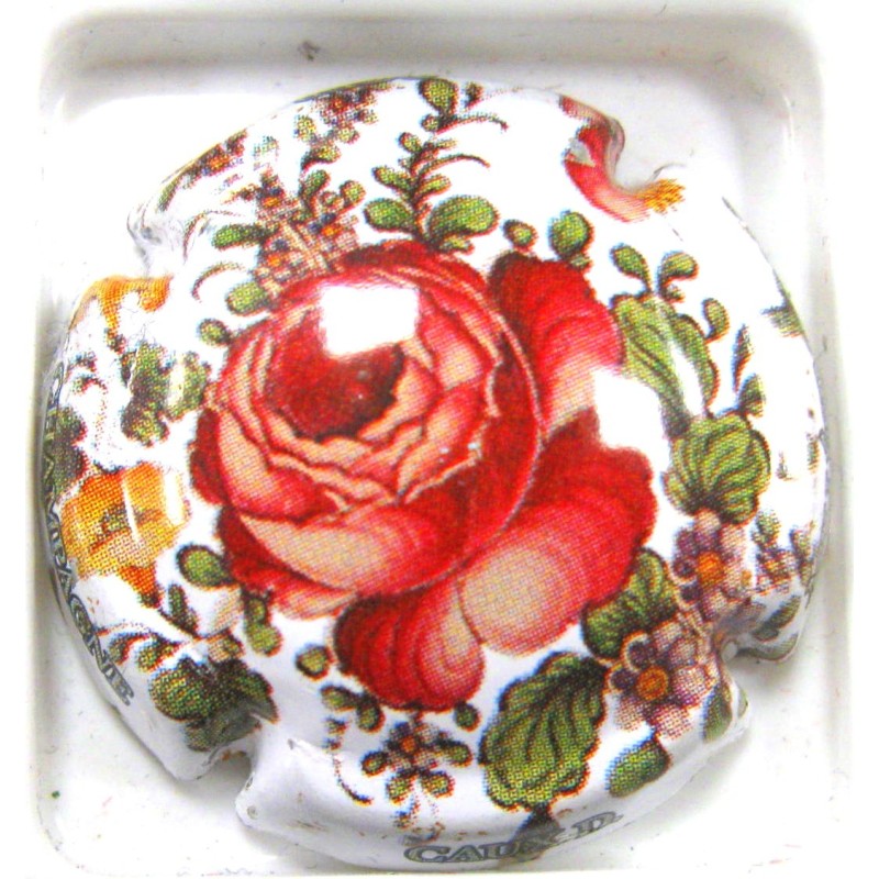 CAUX DOMINIQUE MILLESIME 2012 FOND BLANC