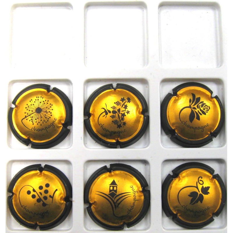 GENERIQUES SOFT 2019 OR A PRIX PREFERENTIEL JUSQU'AU 31 MAI