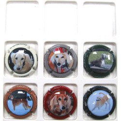 MOUTAUX N°18/18E LEVRIERS