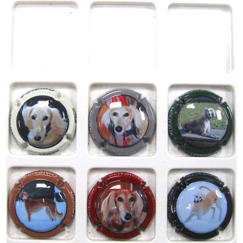 MOUTAUX N°18/18E LEVRIERS