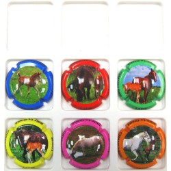 LAPIE-LONGE LES CHEVAUX