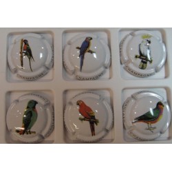 GAILLARD JEROME LES PERROQUETS