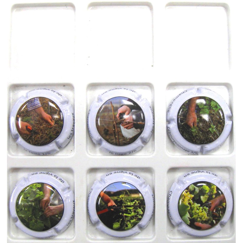 GENERIQUES TRAVAUX DE LA VIGNE A PRIX PREFERENTIEL