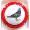 SOMBERT-LECART PIGEON COULEUR FOND BLANC