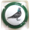 SOMBERT-LECART PIGEON COULEUR CT VERT