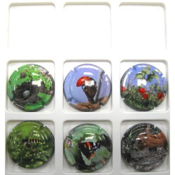 GENERIQUES LA BIODIVERSITE DANS LES VIGNES A PRIX PREFERENTIEL