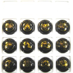 GENERIQUES SIGNES ZODIACAUX NOIR ET OR