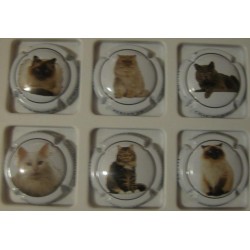 ARMAND SERGE LES CHATS