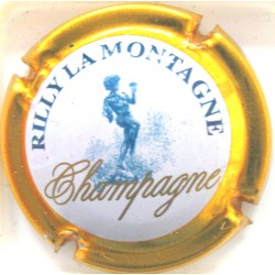 RILLY-LA-MONTAGNE N°37 CT VERT