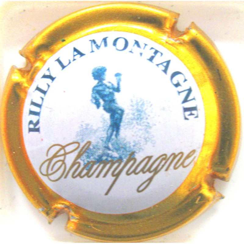 RILLY-LA-MONTAGNE N°37 CT VERT
