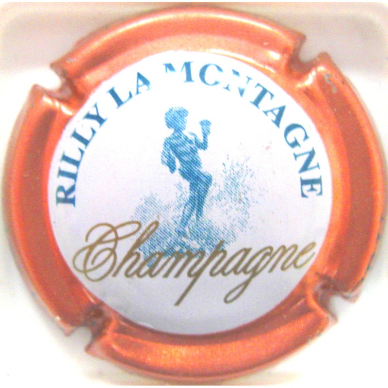 RILLY-LA-MONTAGNE N°37 CT VERT