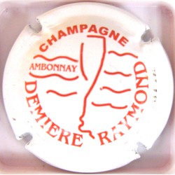 DEMIERE RAYMOND  N°8. JAUNE ET BORDEAUX