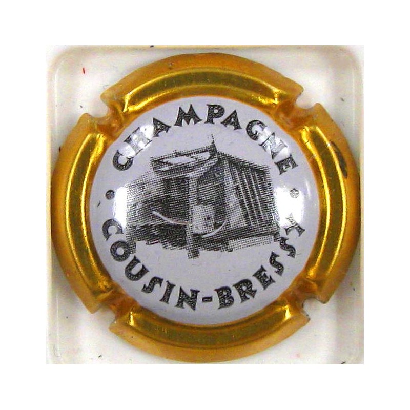 COUSIN BRESSY N°07E CONTOUR OR