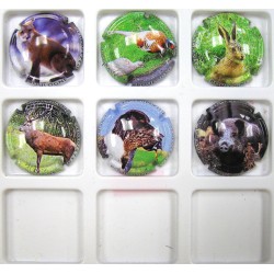 LAGRAVE BOULOGNE N°13 ANIMAUX