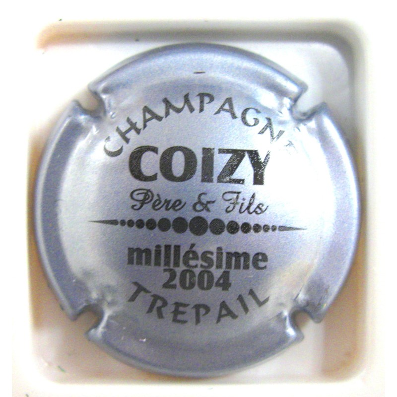 COIZY PERE ET FILS N°10D GRIS BLEUTE