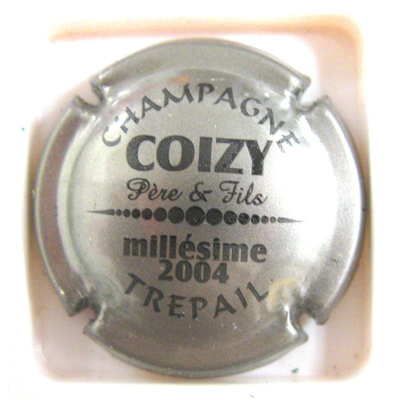 COIZY PERE ET FILS N°10E GRIS