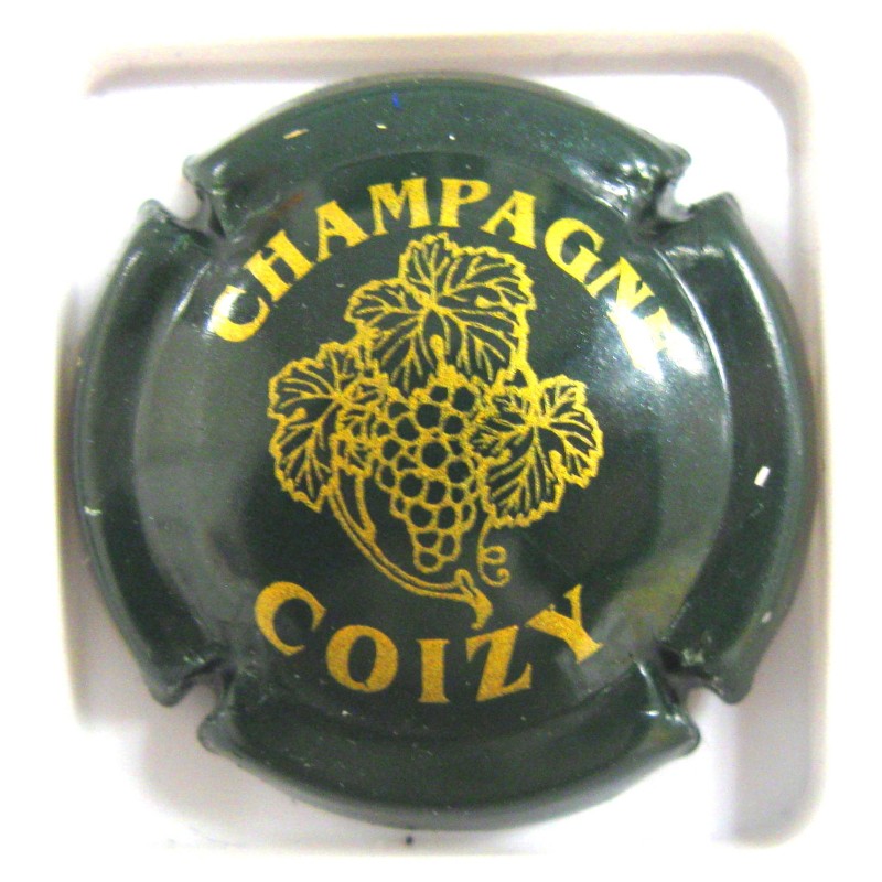 COIZY N°2B VERT ET OR