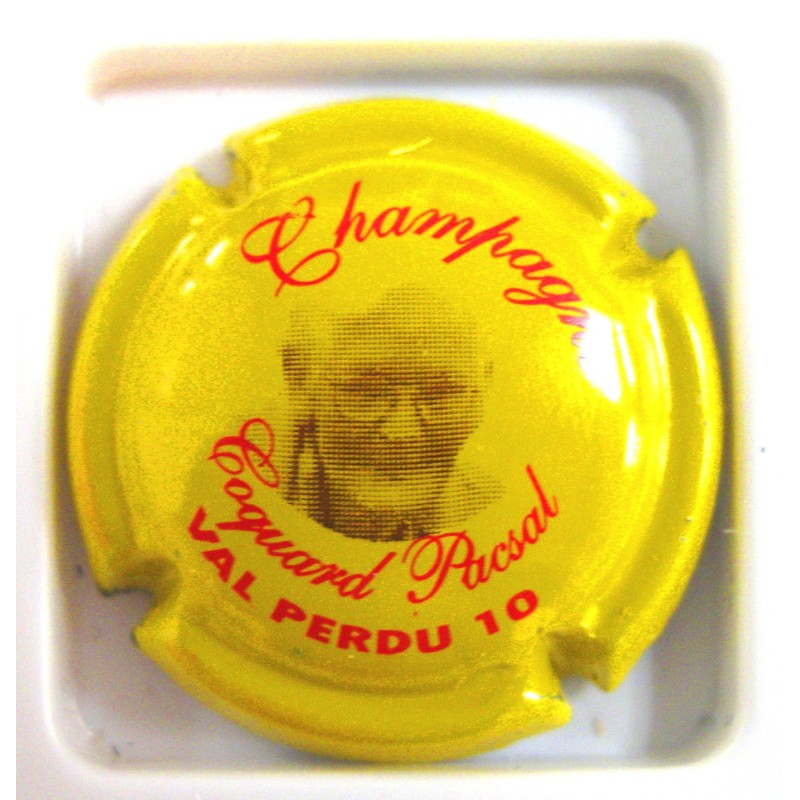 COQUARD PASCAL N°2 JAUNE