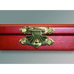 SAFE VITRINE 60 CAPSULES