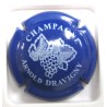DRAVIGNY ARNOLD N°3d BLEU