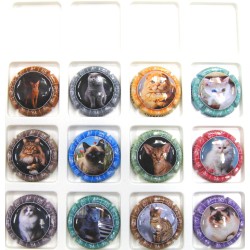 PATIS ANDRE CHATS ET ZODIAQUE SERIE DE 12 CAPSULES