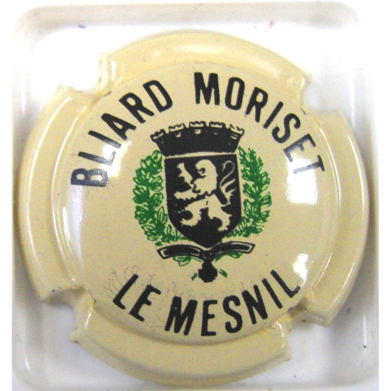BLIARD-MORISSET LE MESNIL N°2