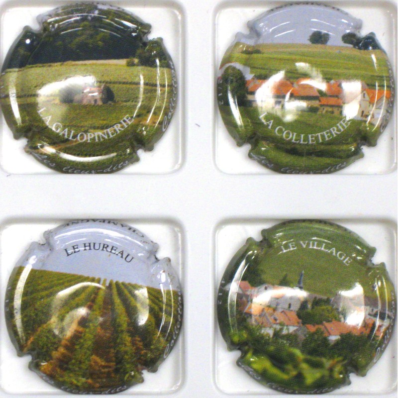 PASSY-GRIGNY LES LIEUX-DITS N°13-13C