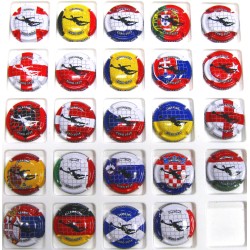 ROGER CHEMIN N°20/20W EURO 2024 1-24/24