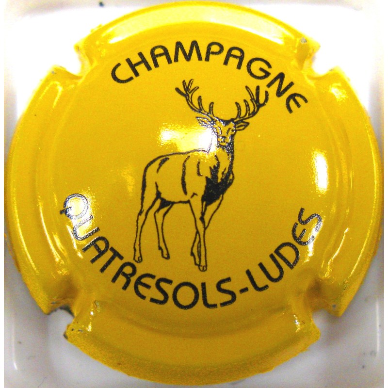 QUATRESOLS N°20 FOND BLEU