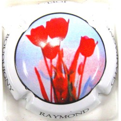 RAYMOND JOEL N°3A BLEU CLAIR