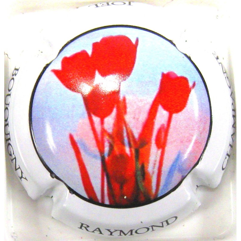 RAYMOND JOEL N°3A BLEU CLAIR