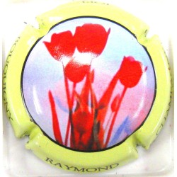 RAYMOND JOEL N°3C CREME