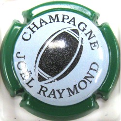 RAYMOND JOEL N°6C VERT