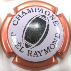 RAYMOND JOEL N°6B ROSE