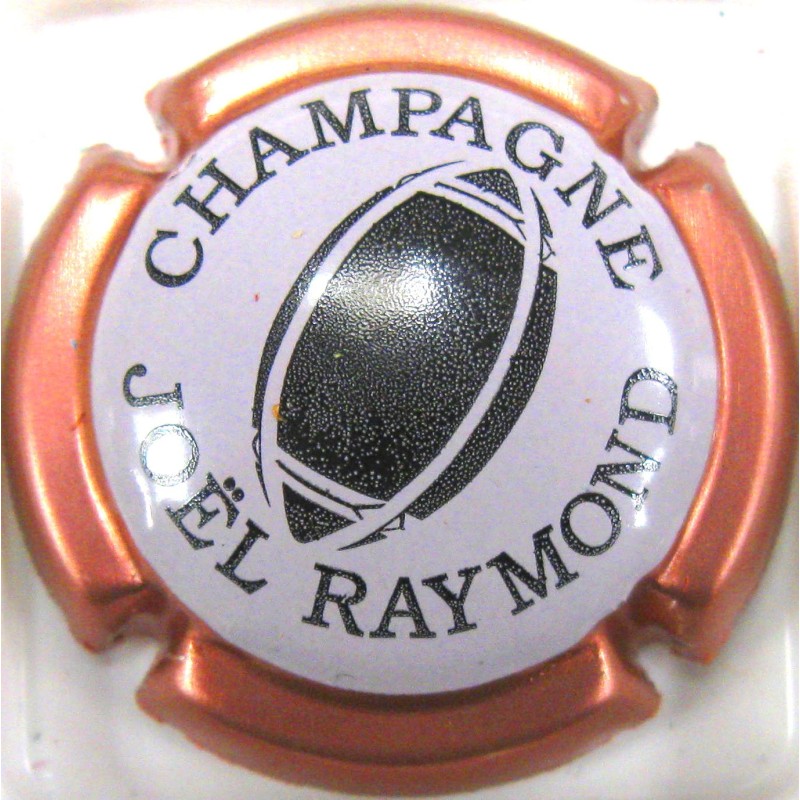 RAYMOND JOEL N°6B ROSE