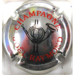 RAYMOND JOEL N°5E METALLISE