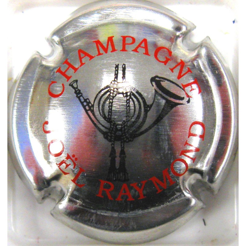 RAYMOND JOEL N°5E METALLISE